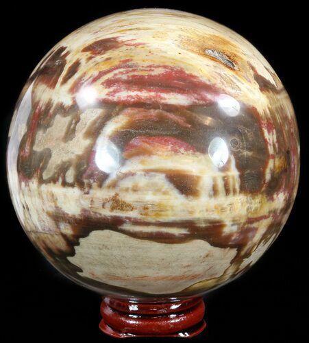 Colorful Petrified Wood Sphere #49756